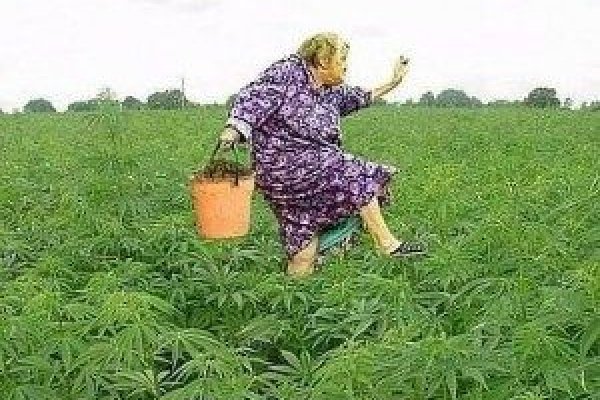 Кракен купить наркотики